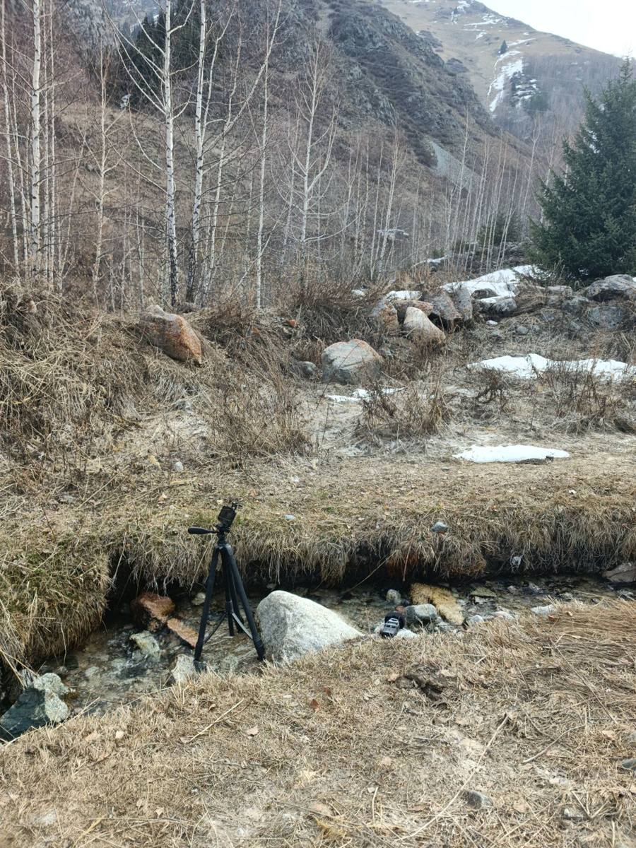 Zoom H5 recorder placed on a stone beside a small mountain stream, with a tripod holding a phone for video